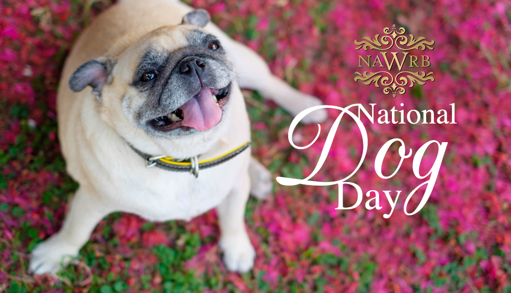 Happy national pug day cheap
