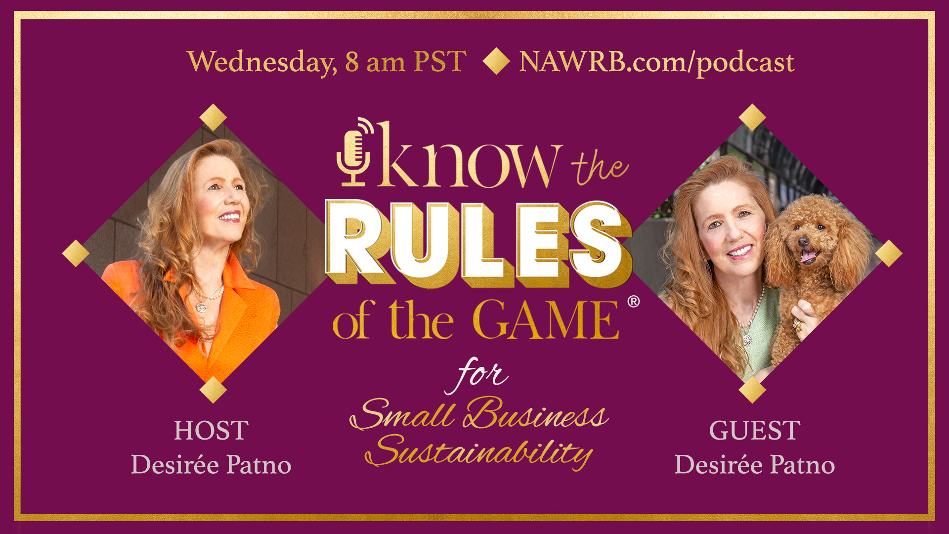 Know the Rules of the GameⓇ Podcast for Small Business Sustainability